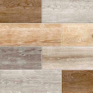 Olivo Natural 60x60