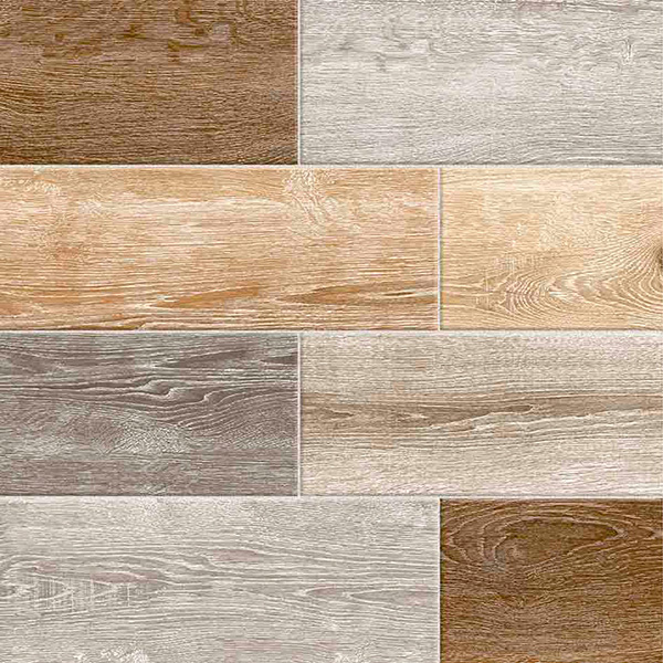 Olivo Natural 60x60