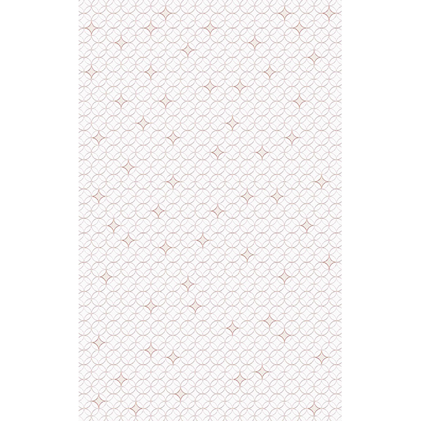 AMAPOLA HUESO 30X60