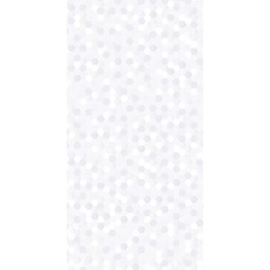 Venice Plata Brillante 30x60