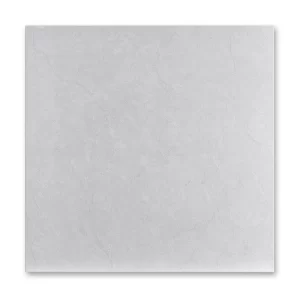 Ariana Plata 45x45