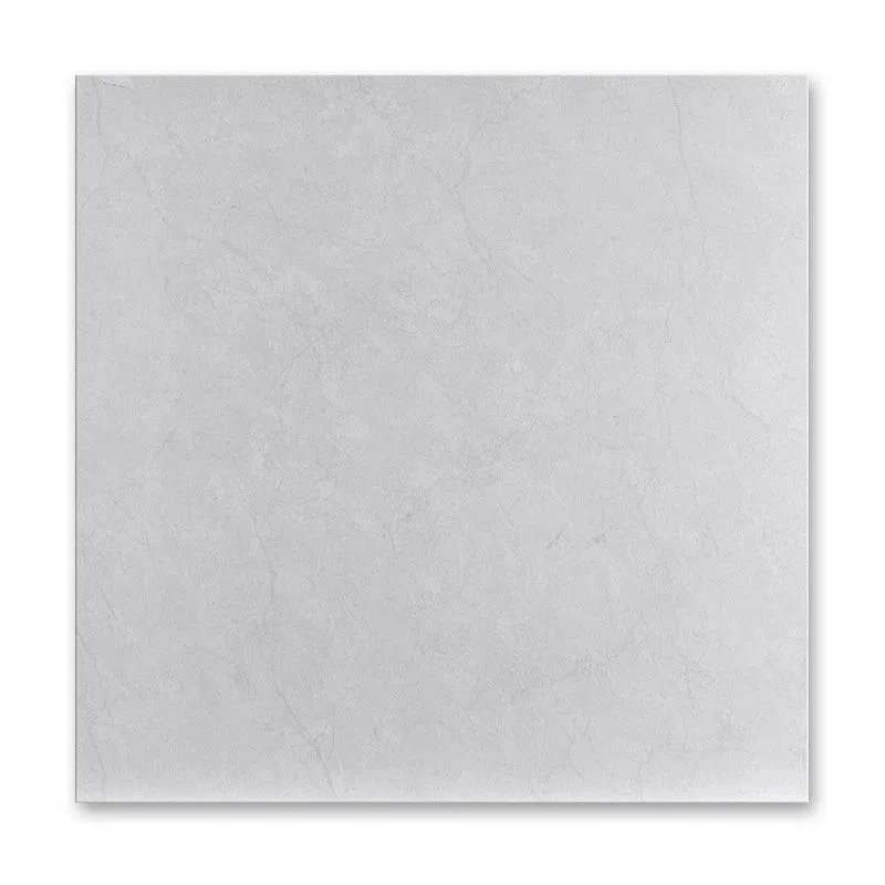 Ariana Plata 45×45
